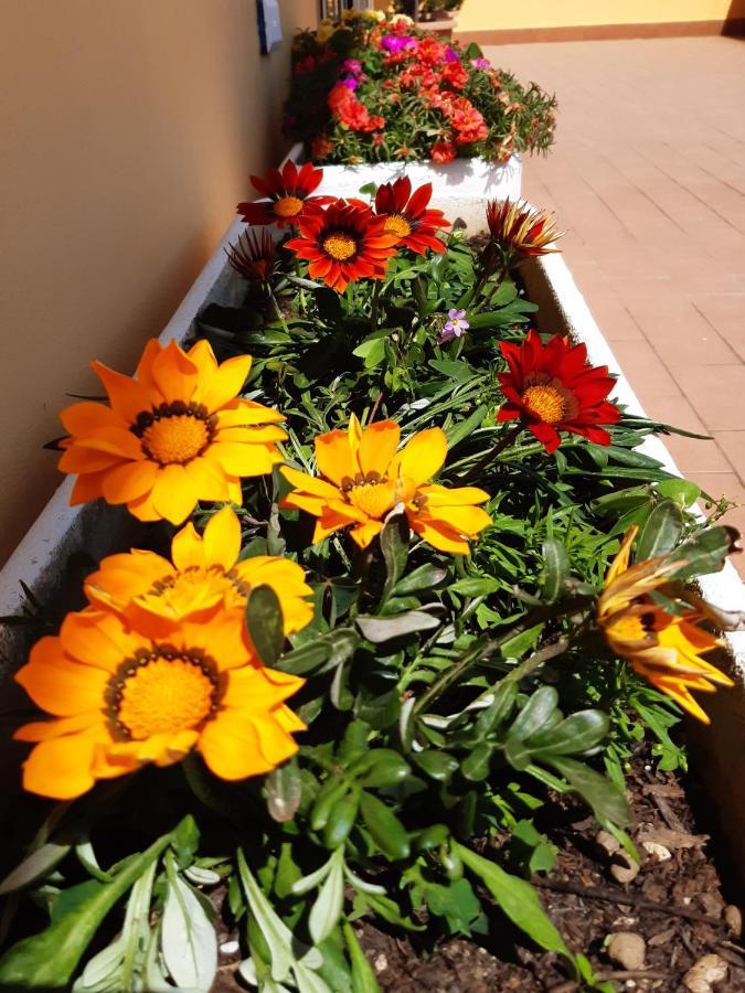 La Terrazza Sul Mare Apartamento Montesilvano Marina Exterior foto